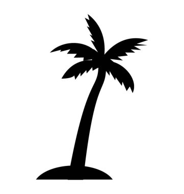 Dekoratif kayın ağacı