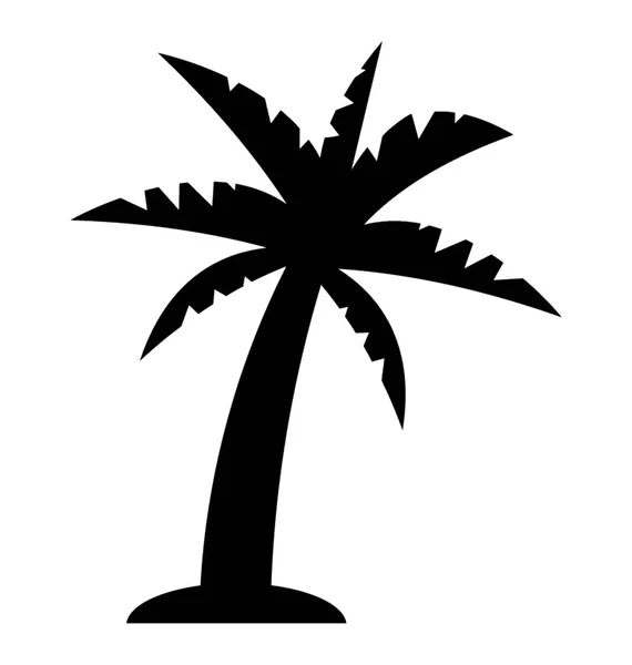 Legszélesebb Körben Termesztett Royal Palm Tree — Stock Vector