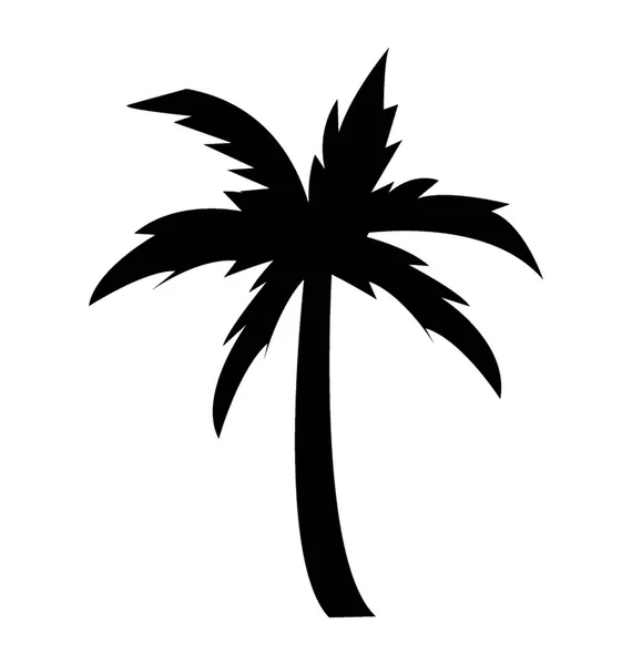 Lång Stam Palm Tree — Stock vektor