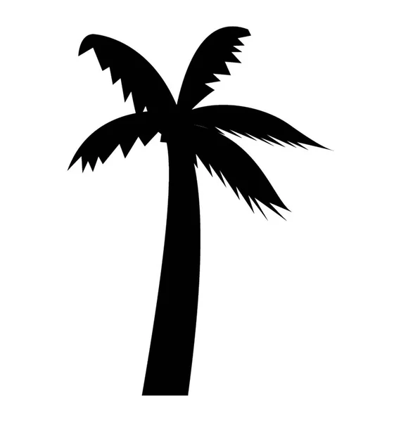 Uzun Gövde Palmiye Ağacı — Stok Vektör