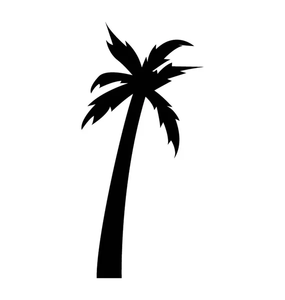 Skumma Tropiska Träd Som Odlas Varmt Väder — Stock vektor