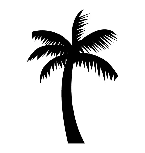 Lång Stam Palm Tree — Stock vektor