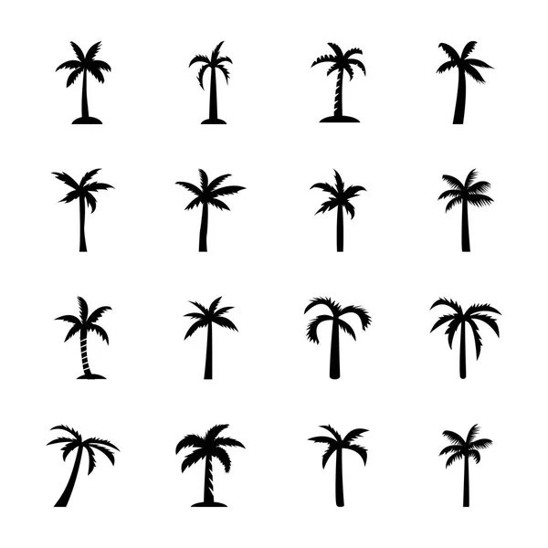 Beech Tree Outline Icons — Stock Vector