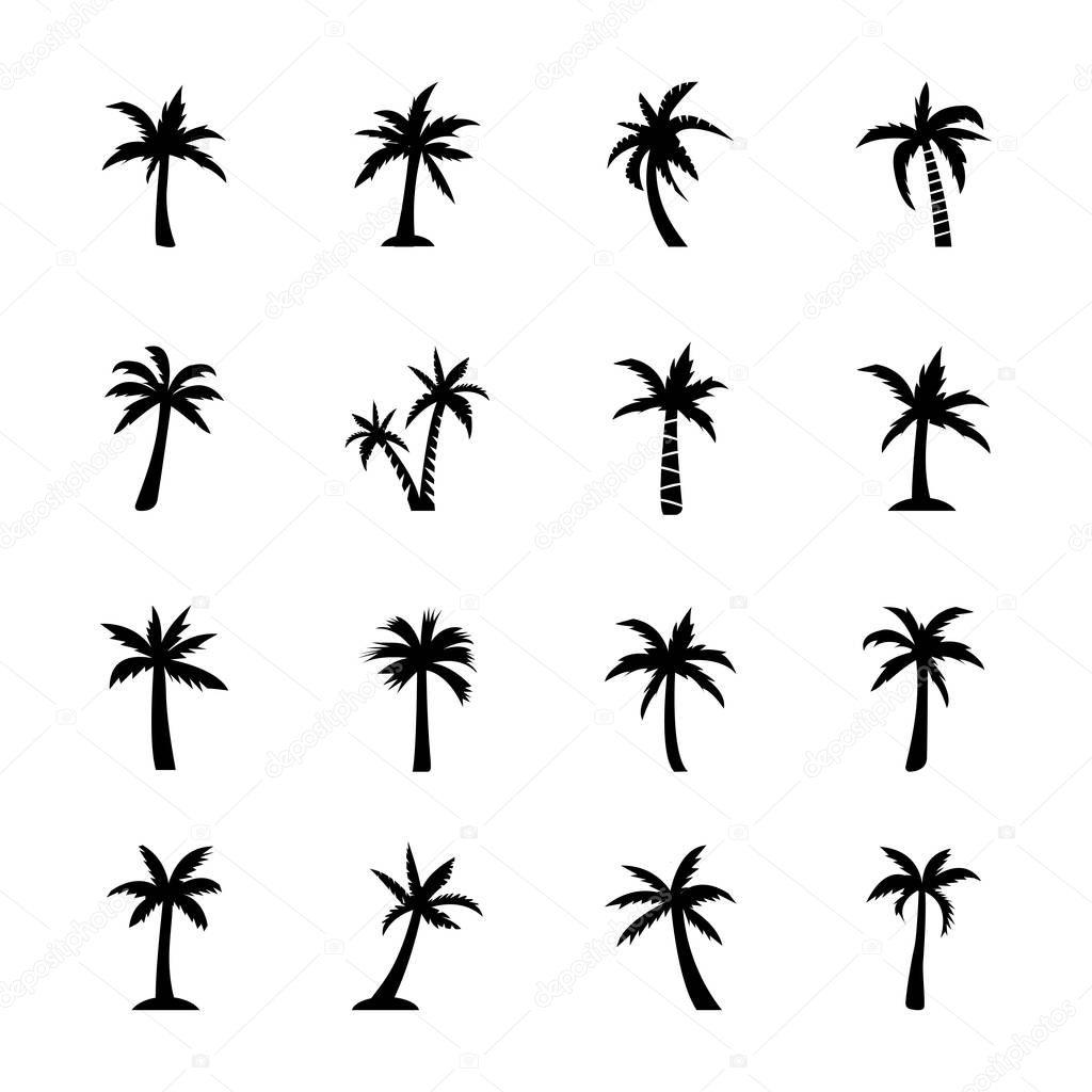 Palm plant icons set 