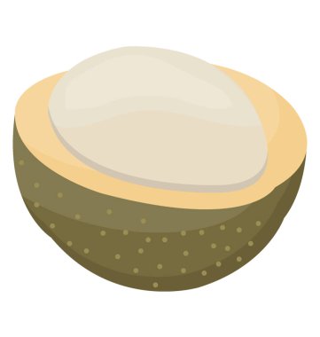 Hickory nut Ham formunda bir kabuk 