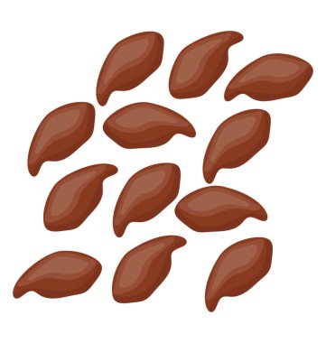 Fıstık tohum kışları yenilebilir meyve olarak kullanılan 