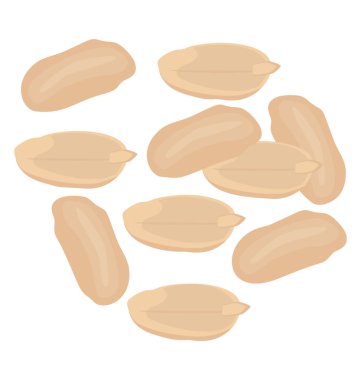 Chilgoza çam çam ağacının beyaz yenilebilir sağlıklı fındık denilen 