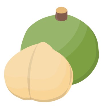 Fındık tohum kabuğu ile Ham formunda