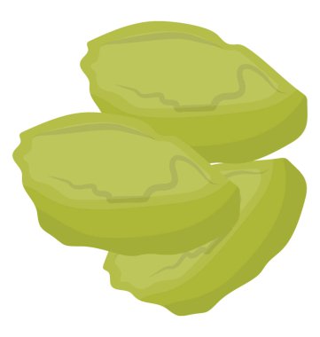 Malabar kestane Ham formunda 