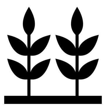 Saç ekimi kavramı küçük bitkiler sundu