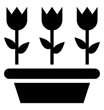 Saksı Lale çiçek üst üste