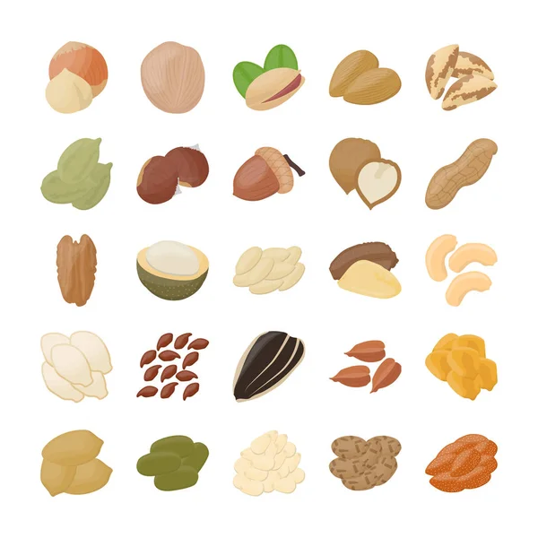 Tree Nuts Icons Pack — Stock Vector