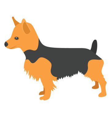 Terrier köpeklerin, airedale terrier kralı