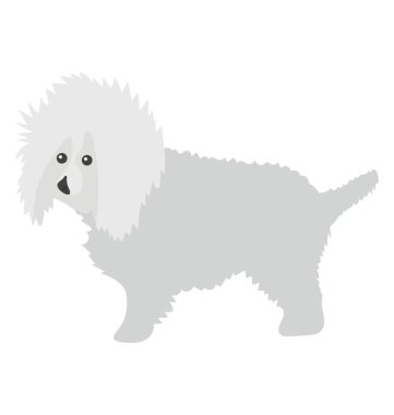 Bichon frise çizim karikatür köpek