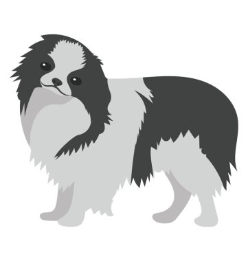 Tang empire chow chow köpek