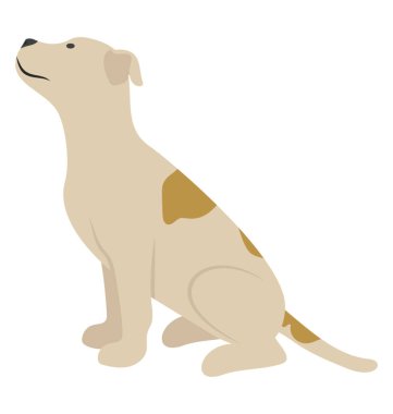 Doğurmak-in köpek, İngiliz pointer