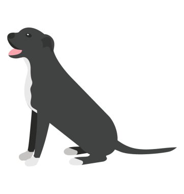 Köpek rottweiler simge