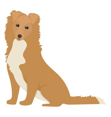 Düz simgesi tasarım köpek karikatür