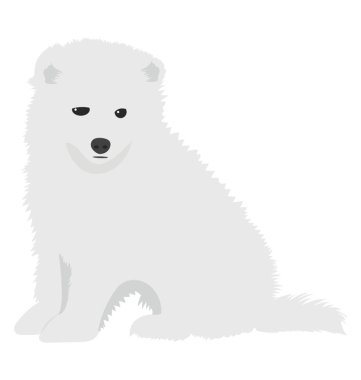 Düz simgesi tasarım köpek karikatür