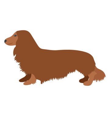 Düz simgesi tasarım köpek karikatür