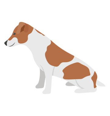 Beagle, küçük Hound a köpek doğurmak