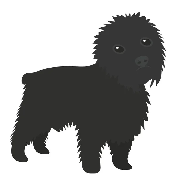 Affenpinscher Uma Caricatura Cão Terrier Macaco — Vetor de Stock