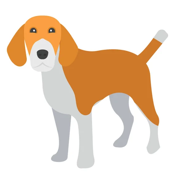 Beagle Uma Raça Cão Pequeno Cão — Vetor de Stock