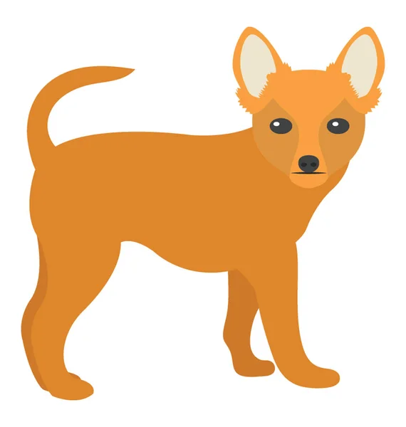 Più Piccola Razza Chihuahua — Vettoriale Stock