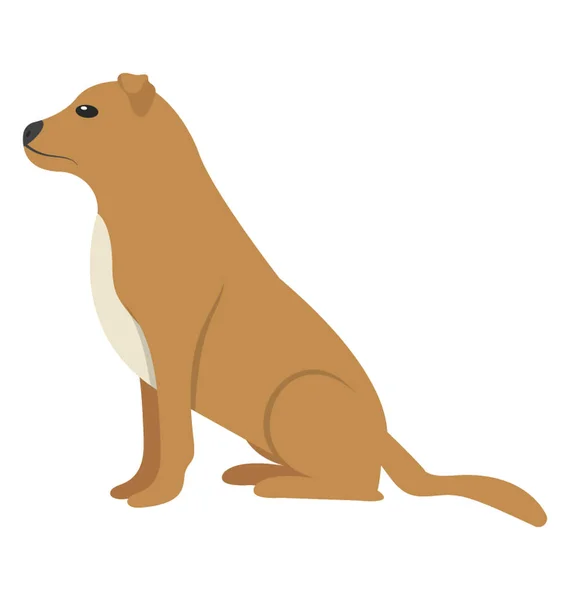 小猎犬犬品种 — 图库矢量图片