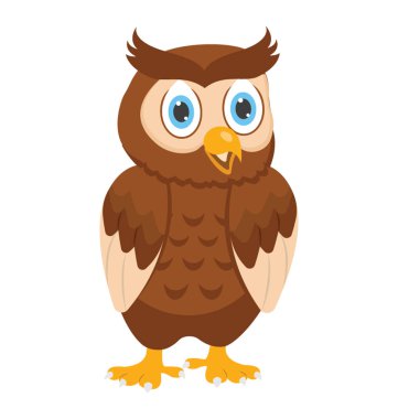 Baykuş akıllıca bir kuş