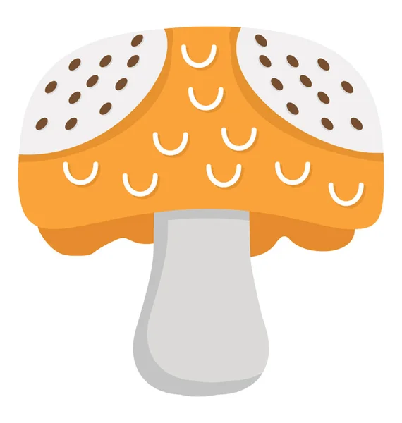 Icon Design Toadstool — Stock Vector