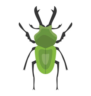 Stag beetle sting içeren iki kollu