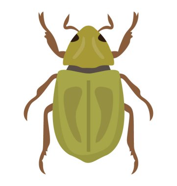 Böceği resmeden ile bacakları olan bir böcek 