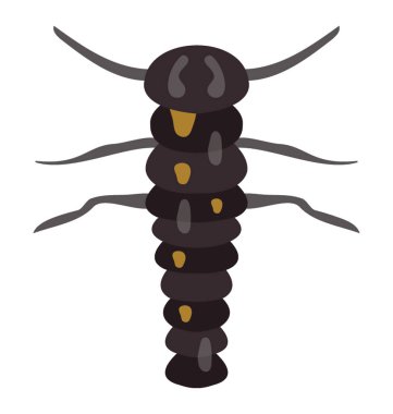 Gözleri ve kanatları şekli yüz tırtıl olarak bilinen 