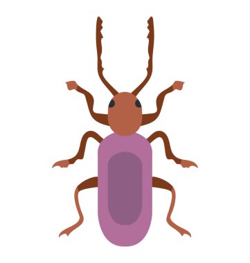 Weevil böceği olarak bilinen küçük bacakları olan böcek 