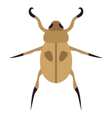 Böceği resmeden ile bacakları olan bir böcek 