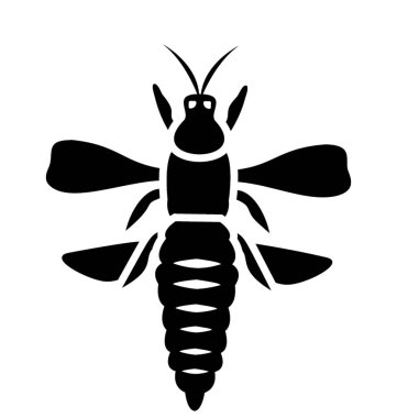 Bir böcek bacaklar ve küçük kanatları arı 