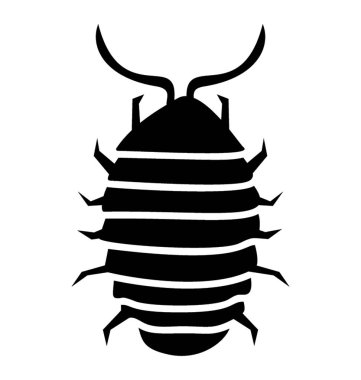 Gergedan böceği olarak bilinen silah katlanmış böcek 