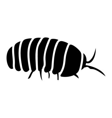 Gözleri ve kanatları şekli yüz tırtıl olarak bilinen 