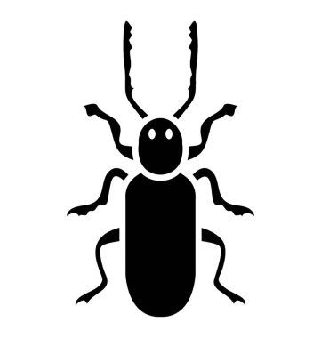 Weevil böceği olarak bilinen küçük bacakları olan böcek 