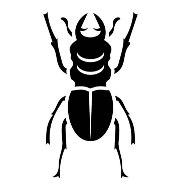 Weevil böceği olarak bilinen küçük bacakları olan böcek 