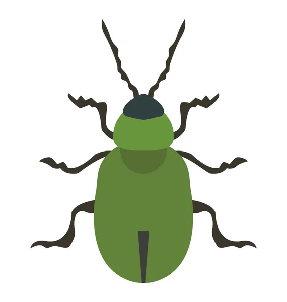 Hmyz Nohou Zobrazující Brouk — Stockový vektor