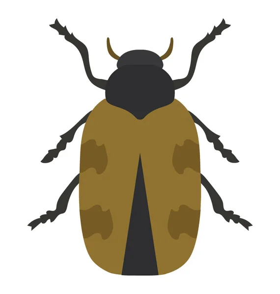 Beetle Lite Armar Och Ben Vet Som Japanska Beetle — Stock vektor