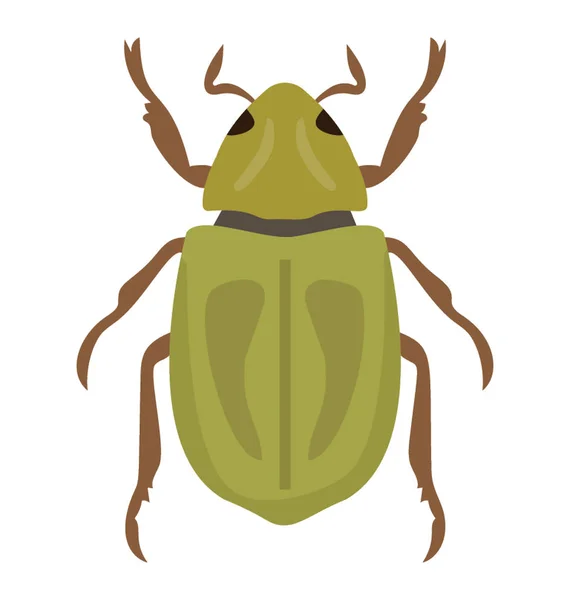 Insect Having Legs Depicting Beetle — Stock Vector