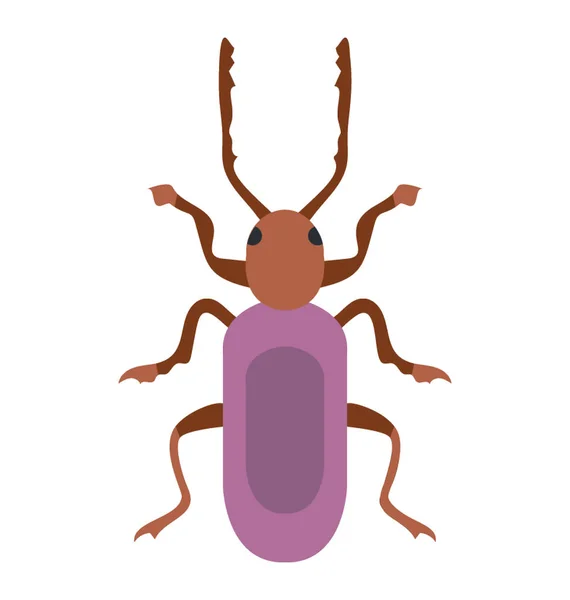 Έντομο Έχοντας Λίγο Πόδια Είναι Γνωστή Ρυγχωτός Κάνθαρος Σκαθαριού — Διανυσματικό Αρχείο