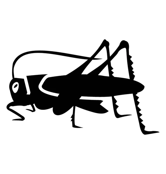 Böcek Bacaklar Küçük Baş Çekirge Bilinen Sahip — Stok Vektör