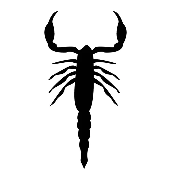 Owad Dwóch Rąk Nóg Mało Znany Jako Skorpion — Wektor stockowy