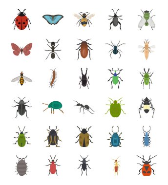 Insects Flat Icons Pack  clipart