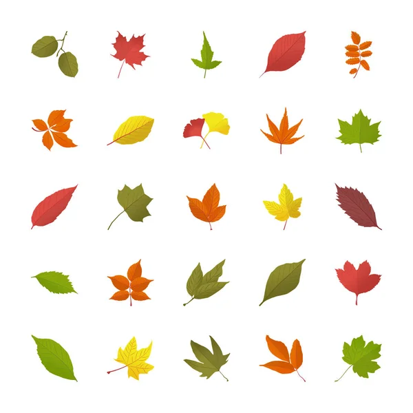Leaves Fall Flat Icons Stock Illustration