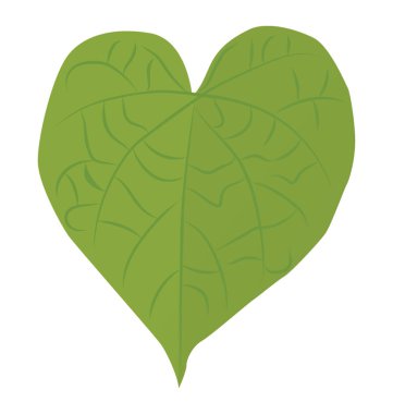 Yaprak sonbahar yaprak tilia cordata denilen bir kalp şeklinde 